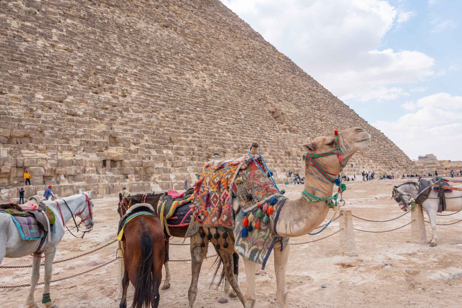 Cairo: Pyramids and Museum on Private tour