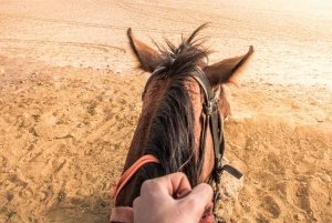 Caïro: Piramides Arabische paarden- of kamelenrit met bedoeïenenthee