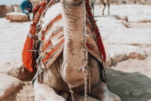 Cairo: Pirâmides e Museu Layover Tour com Traslado do Aeroporto