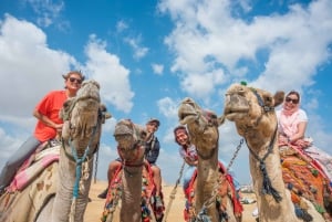 Le Caire : Aventure en quad des Pyramides et balade à dos de chameau (en option)