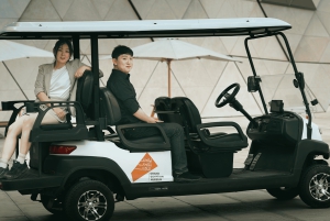 Каир: Пирамиды и Сфинкс Тур с Большим Египетским Музеем