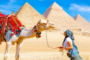 From Sokhna Port: Cairo & Pyramids New Passage Day-Tour