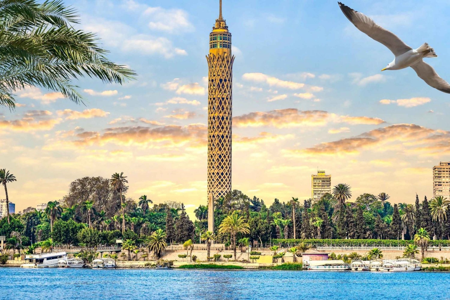 Cairo: Sunset Cairo Tower Tour With Nile River Dinner Cruise