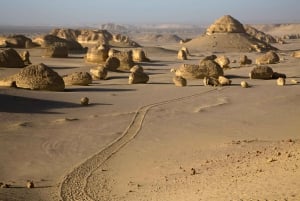 Discover Wadi Hitan, Egypts Prehistoric Wonder!