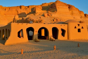 Discover Wadi Hitan, Egypts Prehistoric Wonder!