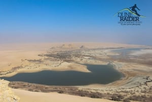 Discover Wadi Hitan, Egypts Prehistoric Wonder!