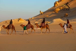 Discover Wadi Hitan, Egypts Prehistoric Wonder!