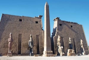 Fra Kairo: 8-dagers rundtur til Kairo, Luxor og Aswan med cruise