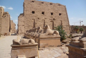 Vanuit Caïro: 8-daagse rondreis door Caïro, Luxor en Aswan met rondvaart