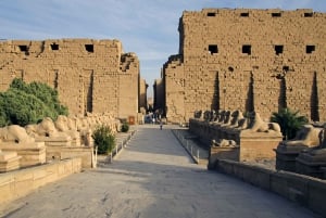 Fra Cairo: 8-dages tur til Cairo, Luxor og Aswan med krydstogt