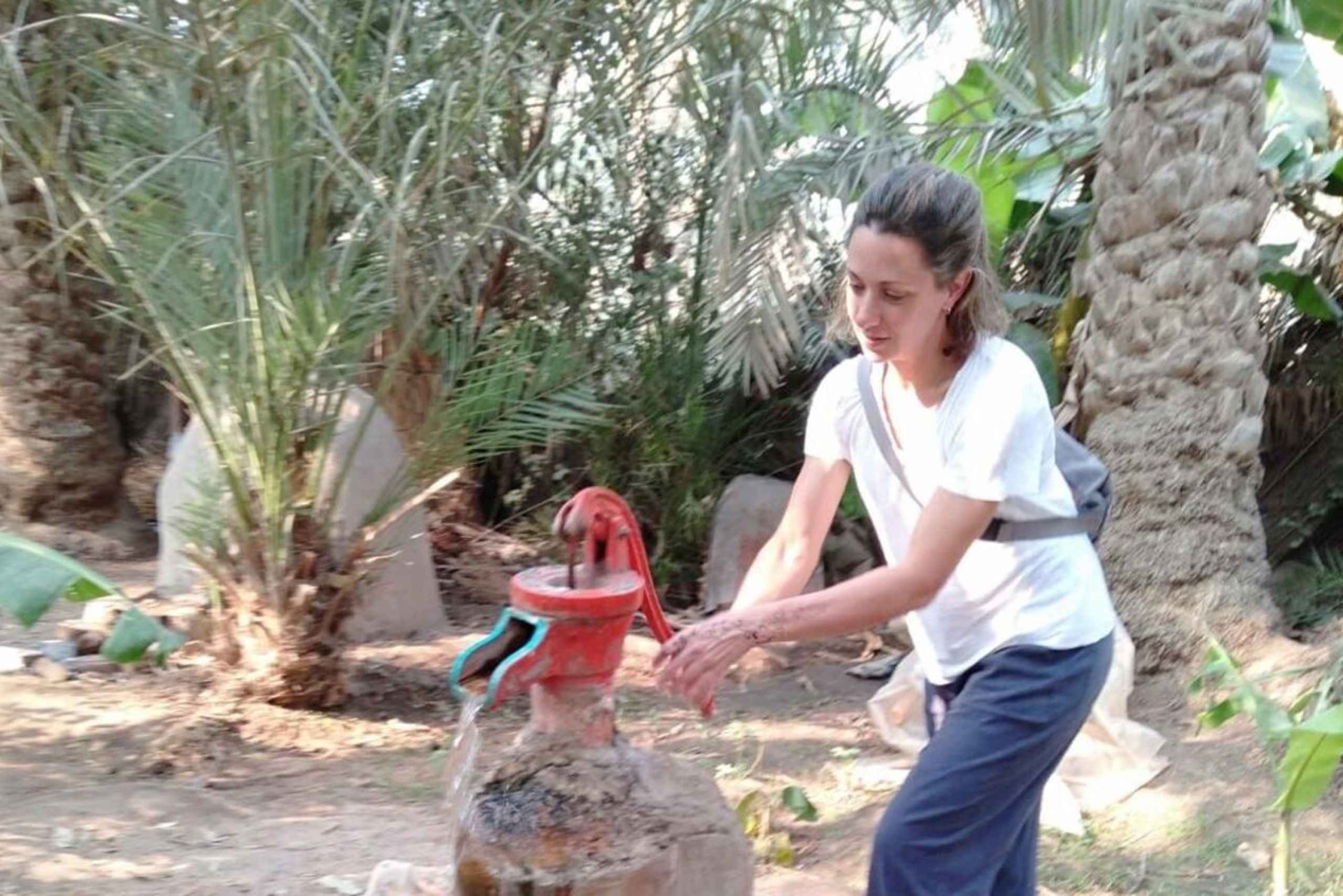 エジプト田舎の日帰りツアー