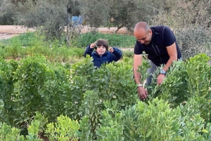 エジプト田舎の日帰りツアー