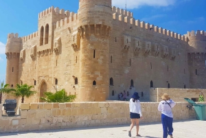 Bilhete de entrada l Alexandria Archeological