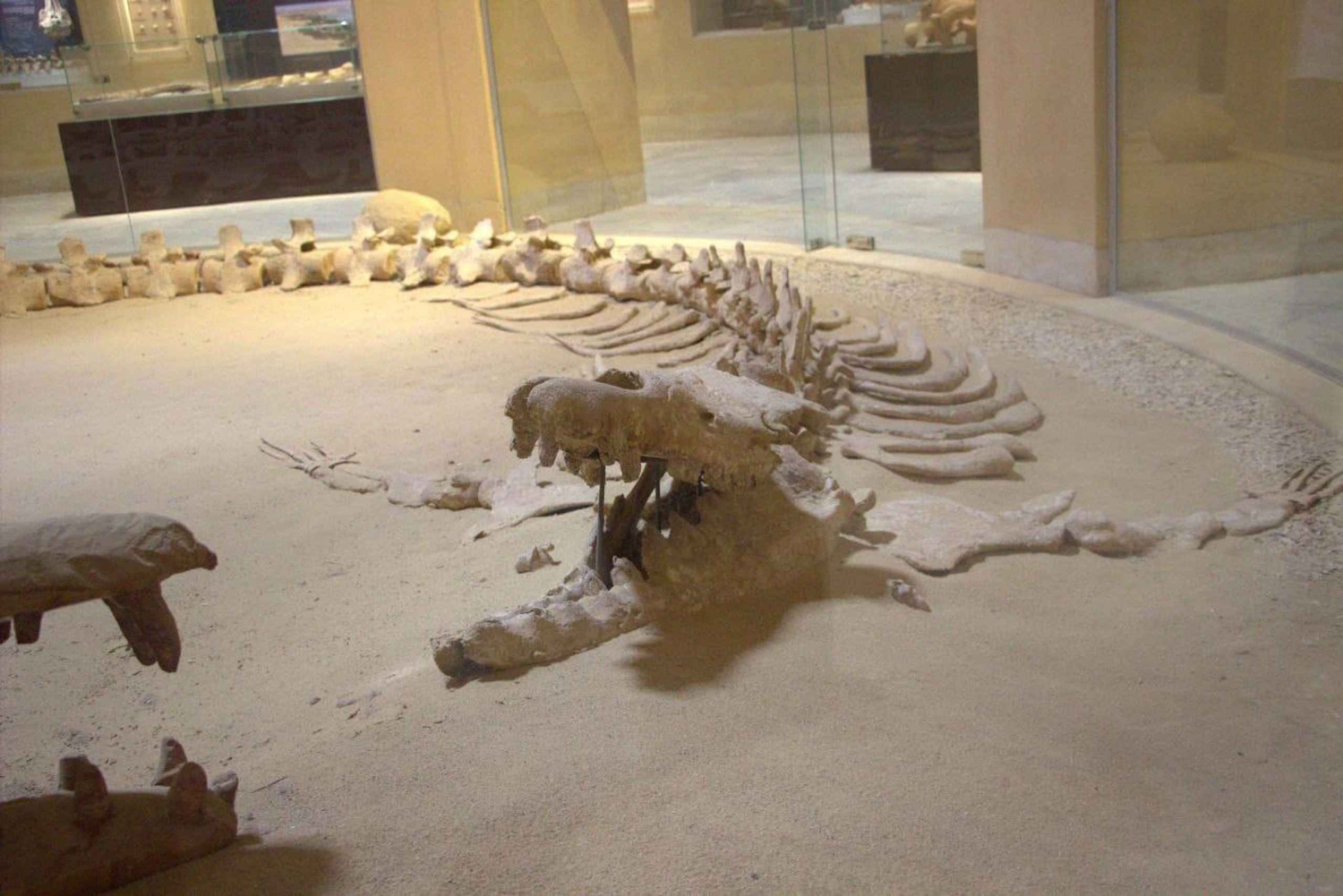 Fayoum 4X4: Nascer do sol, cascatas Rayan e Vale das Rodas