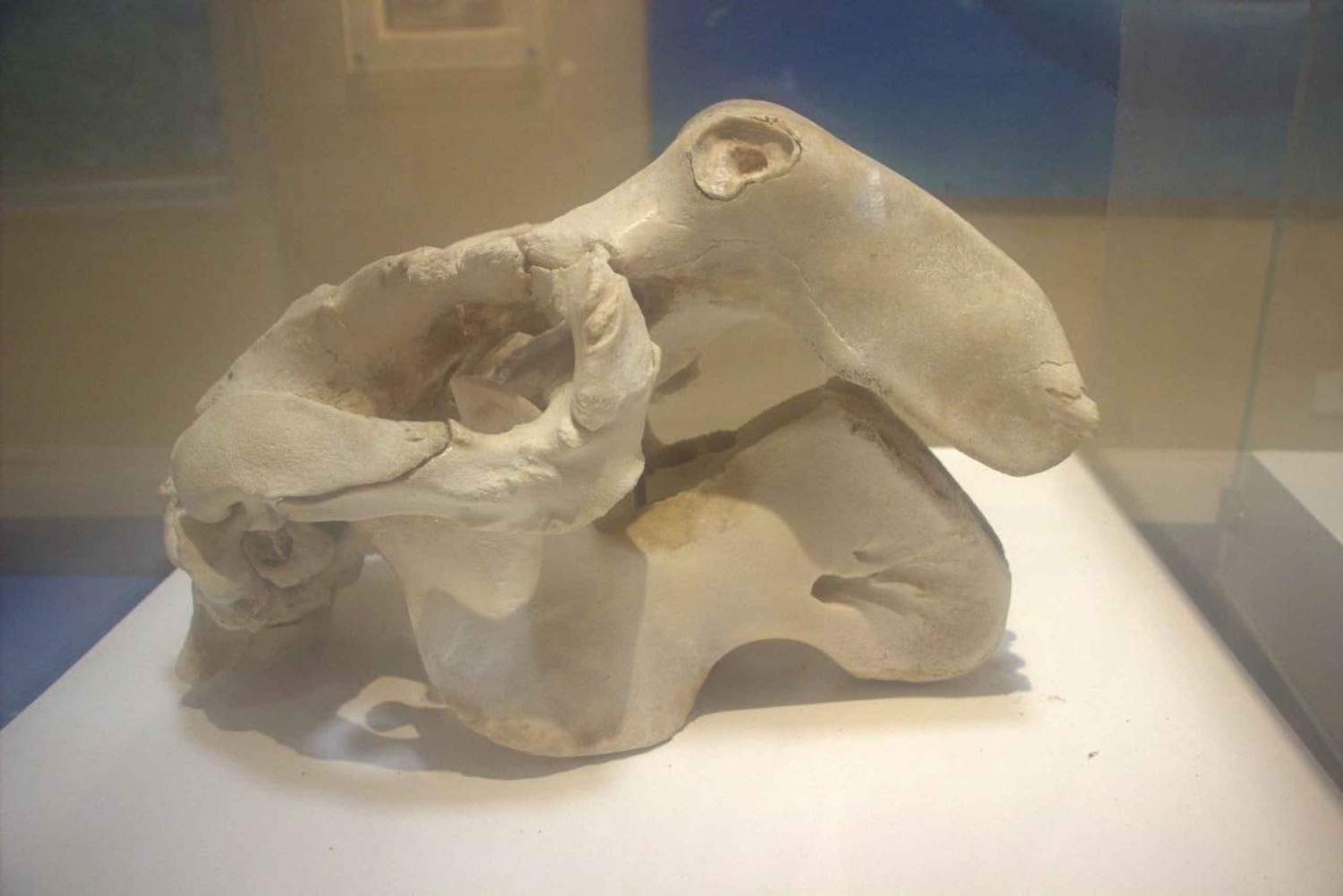 Fayoum 4X4: Nascer do sol, cascatas Rayan e Vale das Rodas