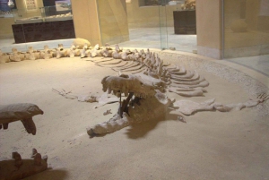 Fayoum 4X4: Nascer do sol, cascatas Rayan e Vale das Rodas