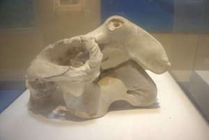 Fayoum 4X4: Nascer do sol, cascatas Rayan e Vale das Rodas