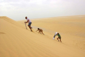 Fayoum 4X4: Nascer do sol, cascatas Rayan e Vale das Rodas