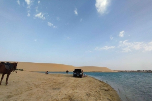 Fayoum 4X4: Nascer do sol, cascatas Rayan e Vale das Rodas