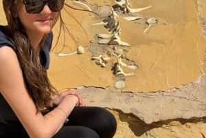 Fayoum 4X4: Nascer do sol, cascatas Rayan e Vale das Rodas