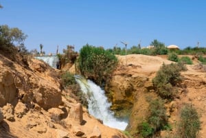 Cairo: Fayoum, Mudawara Mountain Private Tour with BBQ Lunch