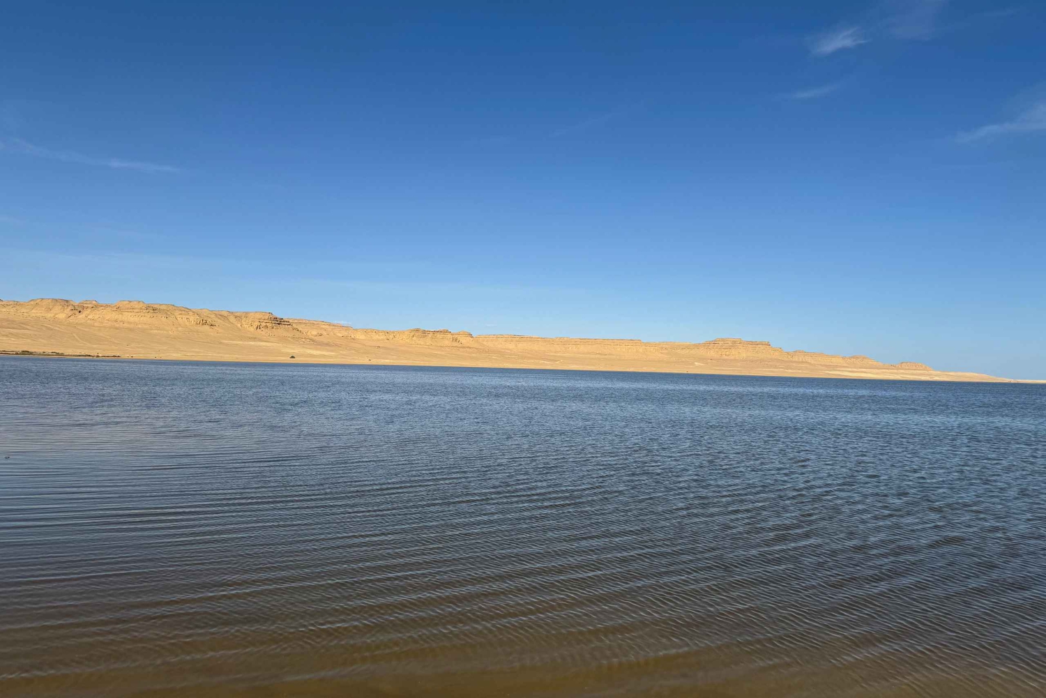 Fayoum: Qarun Sahara Safari med (ATV) firhjuling fra Kairo