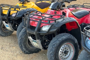 Fayoum: Qarun Sahara Safari med (ATV) firhjuling fra Kairo