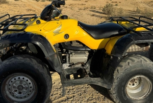 Fayoum: Qarun Sahara Safari med (ATV) firhjuling fra Kairo