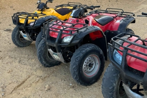 Fayoum: Qarun Sahara Safari med (ATV) firhjuling fra Kairo