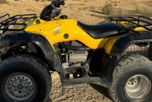 Fayoum: Qarun Sahara Safari med (ATV) firhjuling fra Kairo
