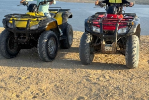 Fayoum: Qarun Sahara Safari med (ATV) firhjuling fra Kairo