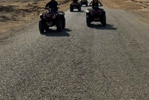 Fayoum: Qarun Sahara Safari med (ATV) firhjuling fra Kairo