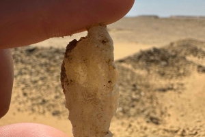 Fayoum: Qarun Sahara Safari med (ATV) firhjuling fra Kairo