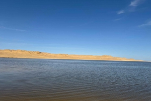 Fayoum: Qarun Sahara-safari med firhjuling fra Kairo