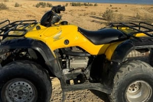 Fayoum: Qarun Sahara Safari mit Quad von Kairo aus