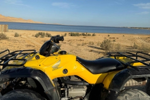 Fayoum: Qarun Sahara Safari med quad bike fra Kairo