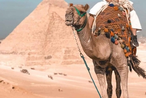 الأهرامات الموجهة للسيدات والبازار وجولة في المتحف