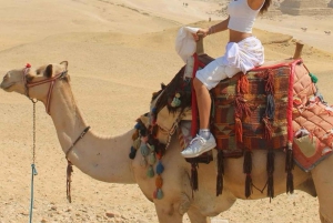 الأهرامات الموجهة للسيدات والبازار وجولة في المتحف