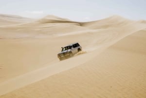 Dal Cairo: Safari nel deserto, giro in cammello, lago magico e pranzo