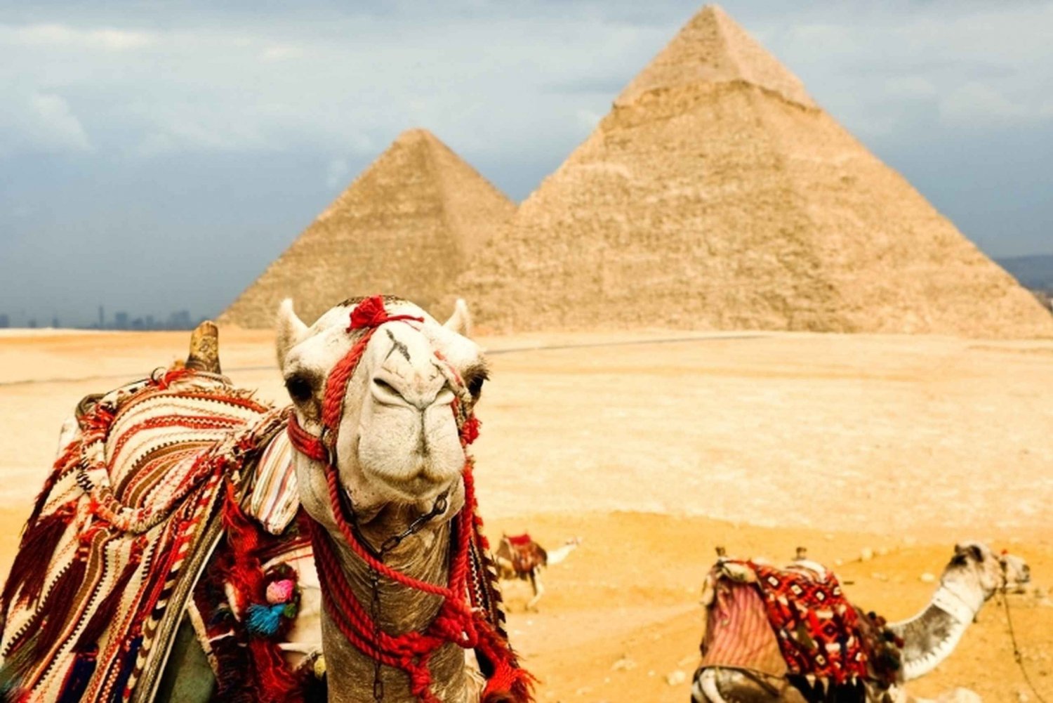From Alexandra: Cairo, Giza Pyramids & Egyptian Museum Tour