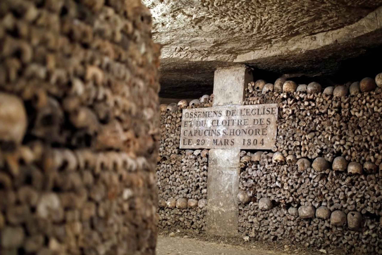 من ميناء الإسكندرية: جولة ليلية إلى القاهرة والإسكندرية