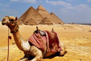 Z portu w Aleksandrii: Nocna wycieczka do Kairu i piramid w Gizie