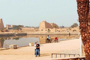 Z Kairu: 11-dniowa wycieczka po Egipcie z lotami