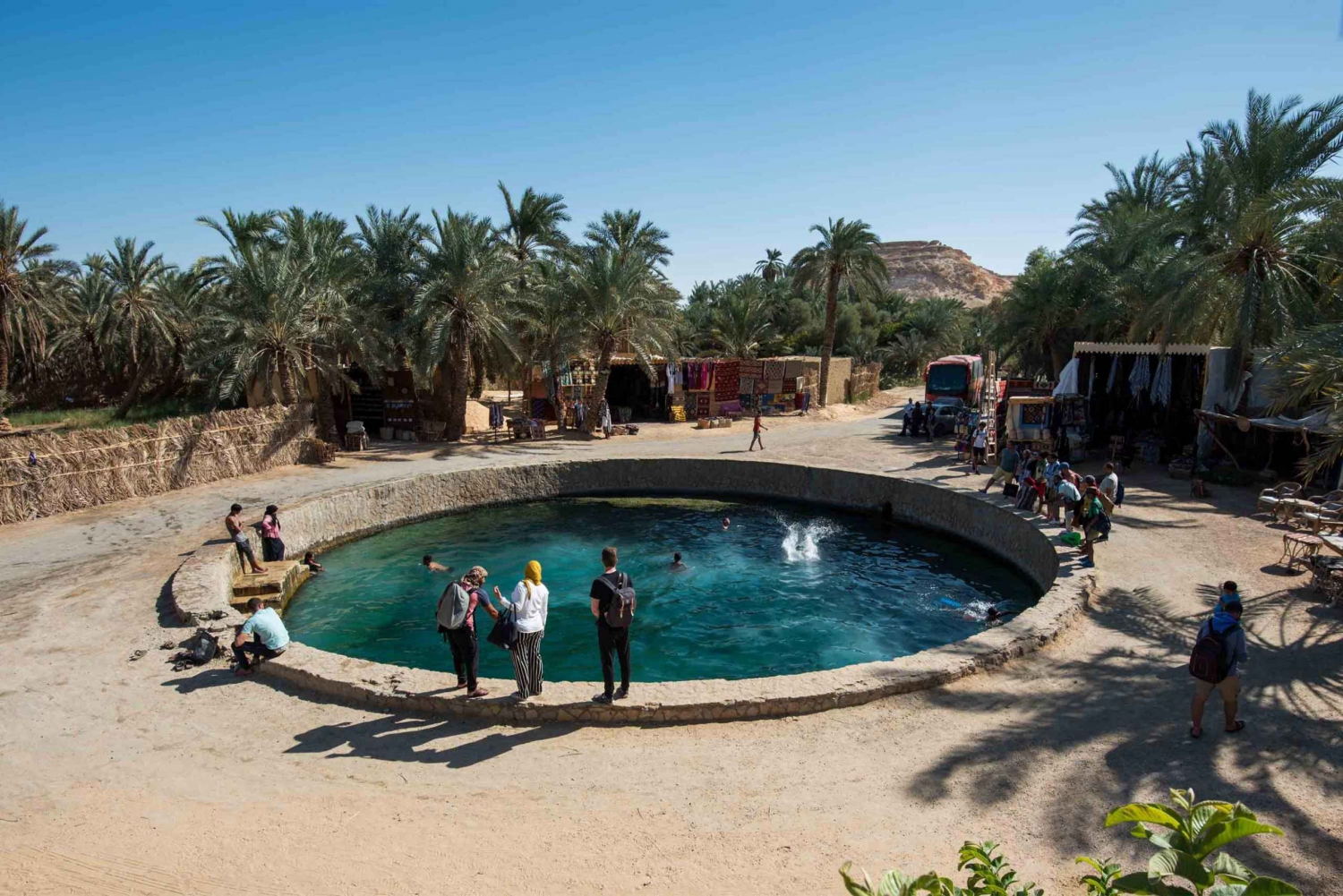 Fra Kairo: 3-dagers museum, fort og ørkentur på Siwa Oasis