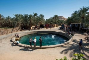 From Cairo: 3-Day Museum, Fort & Desert Tour at Siwa Oasis