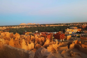 Do Cairo: 3 dias de El-Alamin, Oásis de Siwa e Safári no Deserto