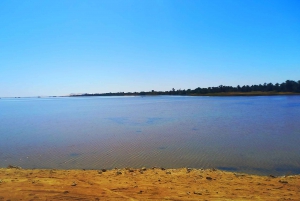 Au départ du Caire : 3 jours de safari à El-Alamin, dans l'oasis de Siwa et dans le désert