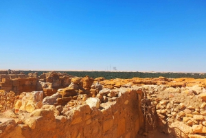 Fra Kairo: 3 dager med El-Alamin, Siwa-oasen og ørkensafari