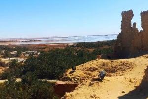Fra Kairo: 3 dager med El-Alamin, Siwa-oasen og ørkensafari