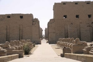 Z Kairu: 4-dniowy rejs po Nilu z Asuanu do Luksoru z posiłkami